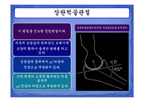 [운동치료학] 주관절과 전완복합체-6