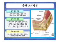 [운동치료학] 주관절과 전완복합체-7