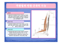 [운동치료학] 주관절과 전완복합체-9