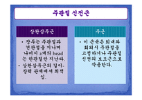 [운동치료학] 주관절과 전완복합체-10