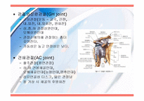 [운동치료] 견관절(Shoulder Joint) 해부학적 구조와 손상후 재활-3