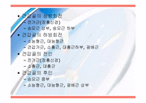 [운동치료] 견관절(Shoulder Joint) 해부학적 구조와 손상후 재활-6