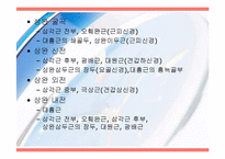 [운동치료] 견관절(Shoulder Joint) 해부학적 구조와 손상후 재활-7