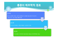 [전기치료학] 통증기전에 대해서-5