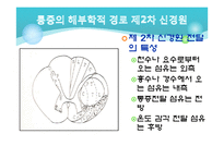 [전기치료학] 통증기전에 대해서-11