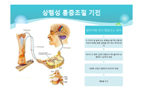 [전기치료학] 통증기전에 대해서-13