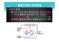 [전기치료학] 통증기전에 대해서-19