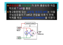 [전기치료학] 통증기전에 대해서-20