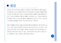 [병리학] 담석증에 관해-5