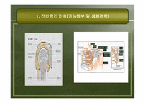 [운동치료학] 견관절 손상의 재활-6