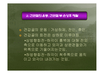 [운동치료학] 견관절 손상의 재활-7
