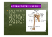 [운동치료학] 견관절 손상의 재활-8