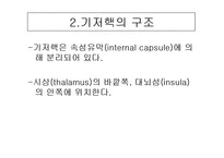 [해부생리] 기저핵[Basal Ganglia]에 대해-3