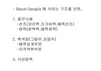 [해부생리] 기저핵[Basal Ganglia]에 대해-6