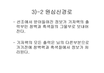 [해부생리] 기저핵[Basal Ganglia]에 대해-10