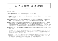[해부생리] 기저핵[Basal Ganglia]에 대해-13