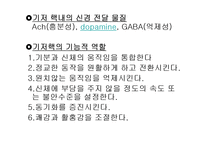 [해부생리] 기저핵[Basal Ganglia]에 대해-18