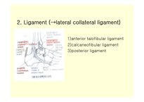 [스포츠 물리치료학] 내번 발목 염좌[inversion ankle sprain]-3