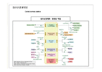 [임상약리학] 중추신경계에 작용하는 약물-2