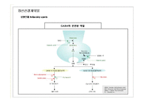 [임상약리학] 중추신경계에 작용하는 약물-14