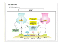 [임상약리학] 중추신경계에 작용하는 약물-15