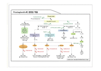 [임상약리학] 중추신경계에 작용하는 약물-20