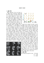 [생물학실험] 동물의 발생-1