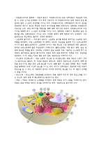 [생물학] 생물세포의 형태와 기능-4