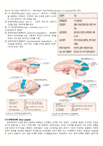 [의학] 신경계 정리-3