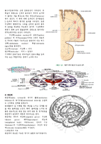 [의학] 신경계 정리-4