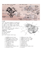 [의학] 신경계 정리-6