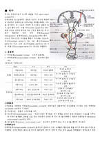 [의학] 신경계 정리-9
