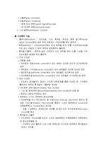 [신경해부생리학] 소뇌와 기저핵[cerebellum & Basal Ganglia]에 관해-5