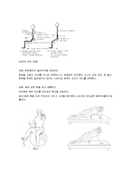 [운동치료학] 안정화 운동[Stabilization Exercise]-3