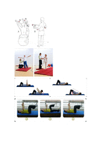 [운동치료학] 안정화 운동[Stabilization Exercise]-4