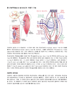 [해부생리학] 근감각수용기 - 근방추[Muscle Spindle]와 골지건기관[Golgi Tendon Organ]-2