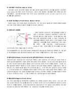 [해부생리학] 근감각수용기 - 근방추[Muscle Spindle]와 골지건기관[Golgi Tendon Organ]-6