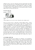 [해부생리학] 근감각수용기 - 근방추[Muscle Spindle]와 골지건기관[Golgi Tendon Organ]-8