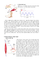 [해부생리학] 근감각수용기 - 근방추[Muscle Spindle]와 골지건기관[Golgi Tendon Organ]-10