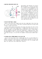 [해부생리학] 근감각수용기 - 근방추[Muscle Spindle]와 골지건기관[Golgi Tendon Organ]-11