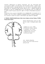 [해부생리] 척수의 신경로 [Tracts of the Spinal Cord]-3