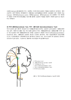 [해부생리] 척수의 신경로 [Tracts of the Spinal Cord]-10