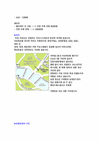 [호텔경영론] 홀리데이인서울호텔 조사-5