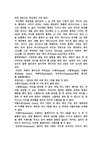 카지노업 레포트-6