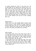 카지노업 레포트-10