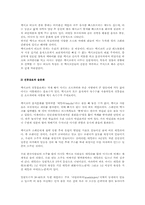 [음식문화사]멕시코의 음식문화-8