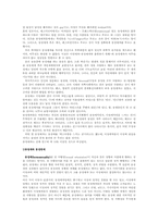 [페미니즘]페미니즘-2