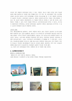 [유통경제학] 할인점 자체브랜드(PB) 약진-8