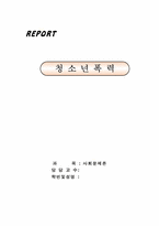 [사회문제론] 청소년폭력의 원인 및 대책-1