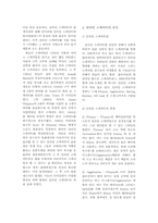 [여가생활] 인라인스케이트의 영향 -인라인스케이트매니아 형성과정을 중심으로-3